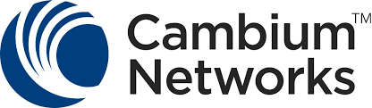 Cambium